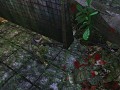Checking The Area