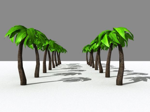 Palm trees render