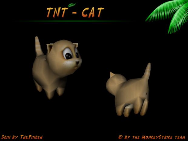TNT-Cat