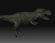Updated Rex 02