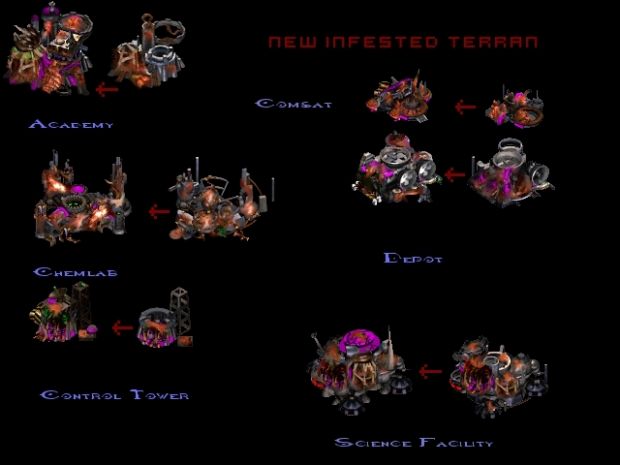 New Infested Terran