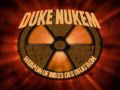 Duke Nukem: Weapon of Mass Destruction