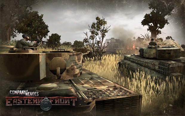 company of heroes tiger 1 skin