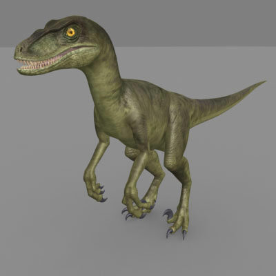 Velociraptor model 1