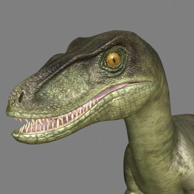 Velociraptor model 2
