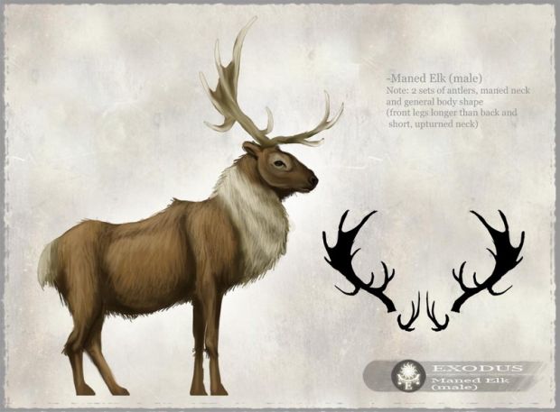 Maned Elk