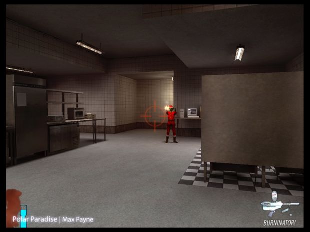 Max Payne in FPS mode