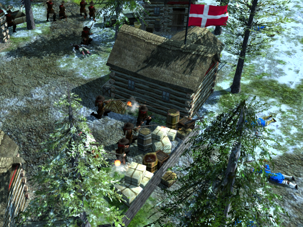 Danish Snaphaner guarding a village