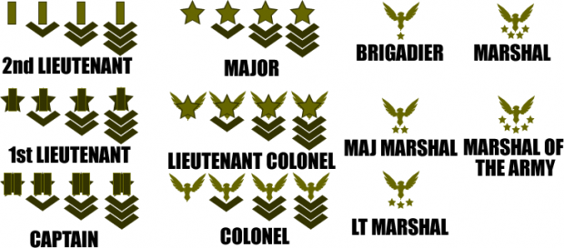 Officer Rank Structure