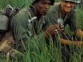 Broken Arrow: The World In Conflict Vietnam Mod
