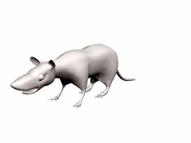 finisht rat model 