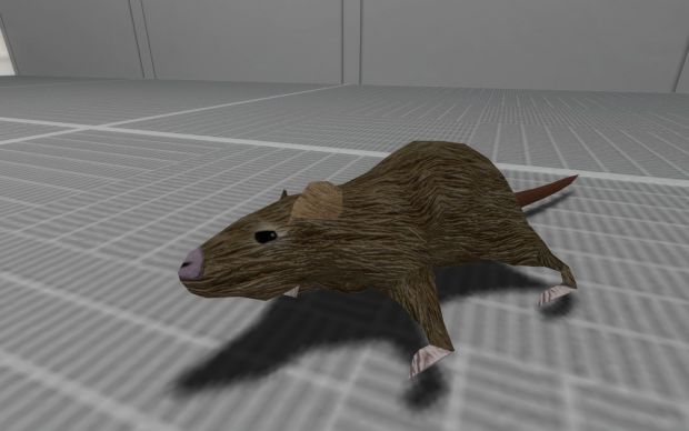 Crappy rat model