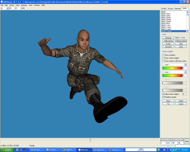 Character animations
