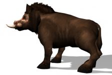 Boar model and skin by NathanA