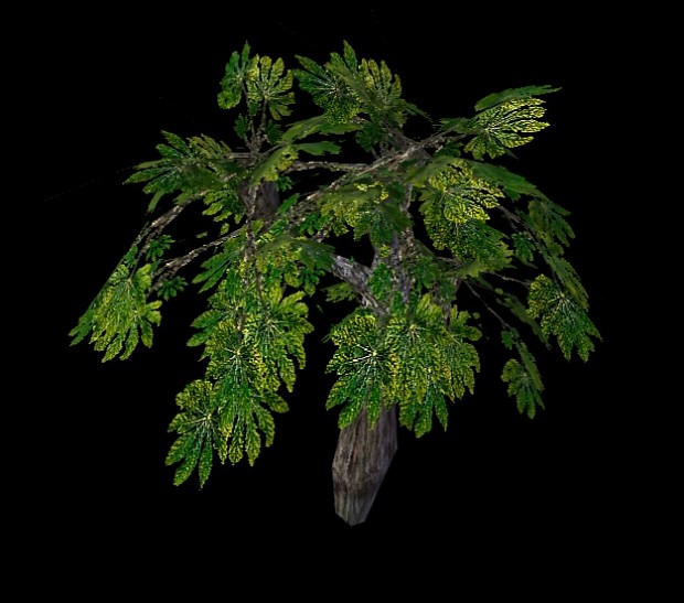 Alientrees- Flora