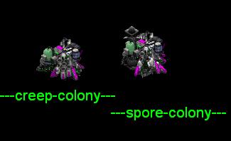 spore colony creep colony