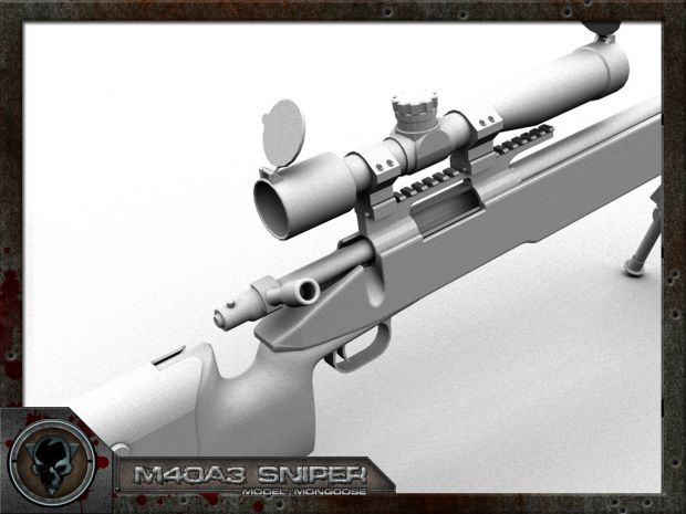 Sniper Rifles 