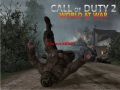 Call of Duty 2 World at War