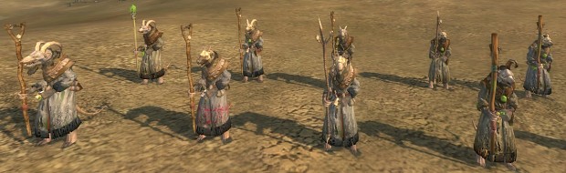 Grey Seers - priests & sorcerers army of rats 1.6