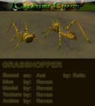 Grasshopper + Combinations