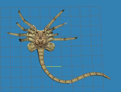 facehugger image - HL Colonial Marines mod for Half-Life.