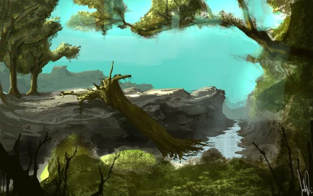 Forest Environment Concept