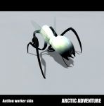 Arctic antlion worker skin