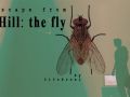 THE FLY: room escape from SILENT HILL