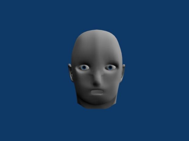 face complete render