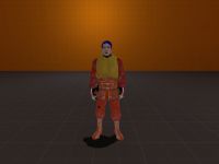 Half Life 2 on Crack new Barney skin.