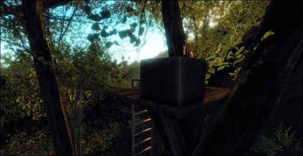 Hiding In The Trees Update