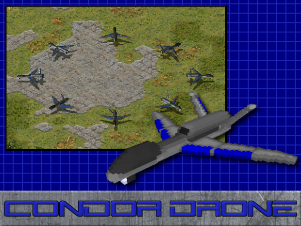 Condor Drone
