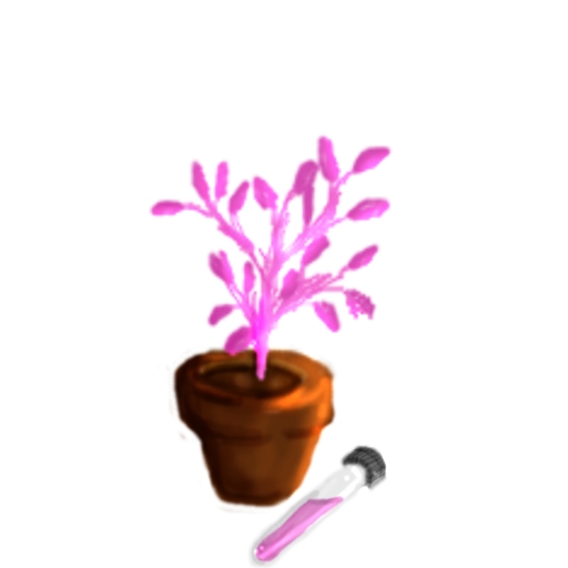 pink herb