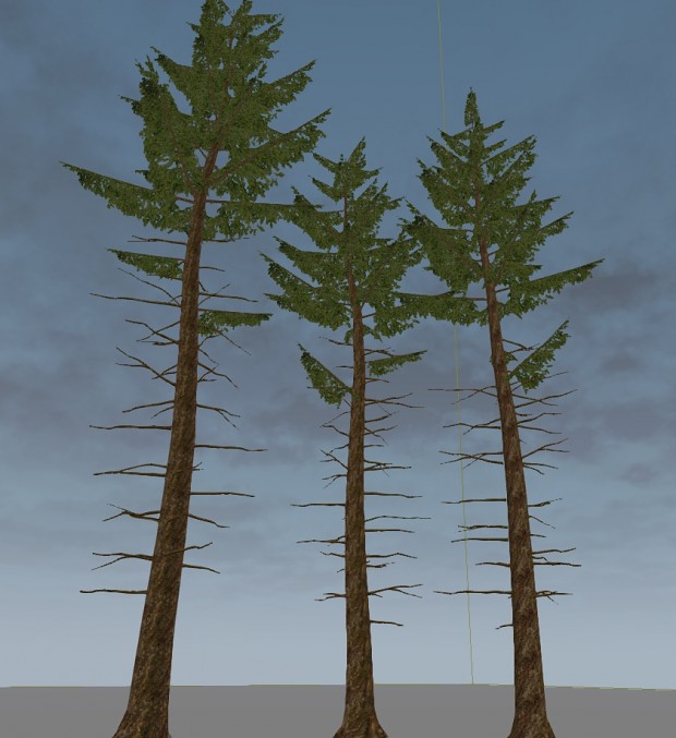 Spruce Trees wip01