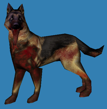 The Infected dog