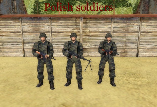 Soldiers and weapons