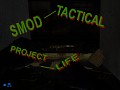 SMOD-DT "Project life"