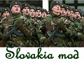 Slovakia mod (soldier)