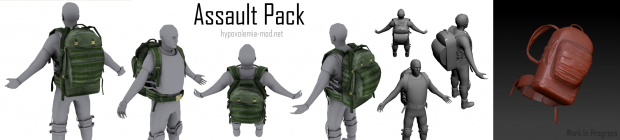 Assault Pack
