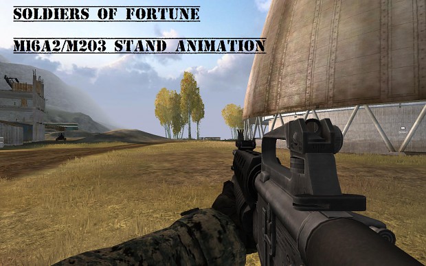 M16A2/M203 Stand Anims
