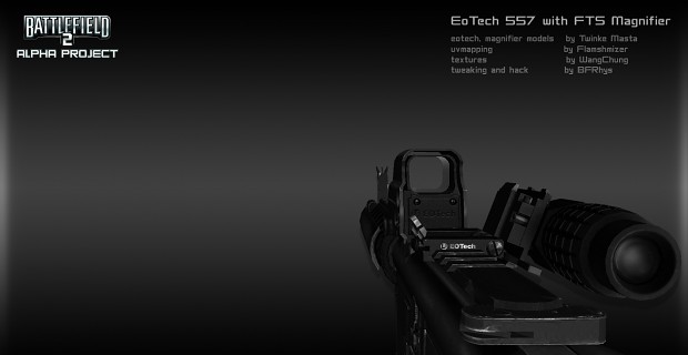 EoTech with FTS Magnifier