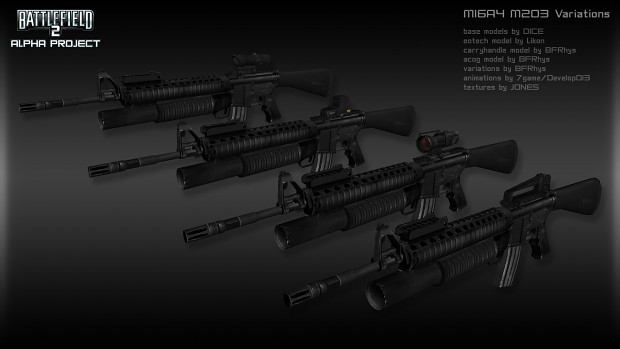M16A4 M203 Variations