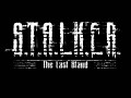 S.T.A.L.K.E.R.: The Last Stand