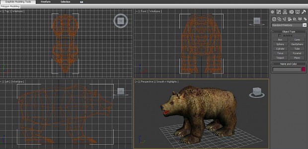 Bear Model