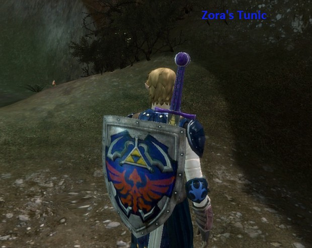 Zora's Tunic