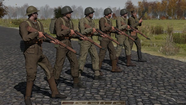 Polish infantry teaser