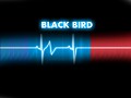 Spec-Ops:Black Bird