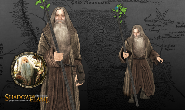 The Brown Wizard