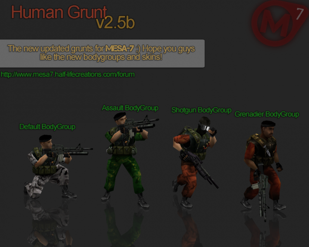 New Hgrunt Bodygroup - 2.5b
