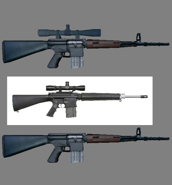 Ar-10 Sniper Scope and Sightless Variant
